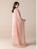 Aurapret-03 | 3 Piece Embroidered Organza Suit