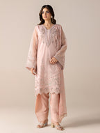 Aurapret-03 | 3 Piece Embroidered Organza Suit