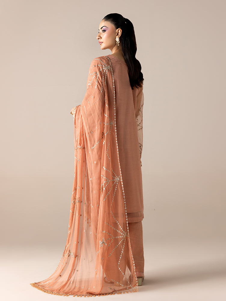 Aurapret-04 | 3 Piece Embroidered Organza Suit