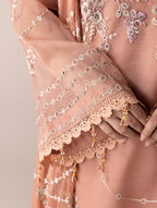 Aurapret-04 | 3 Piece Embroidered Organza Suit
