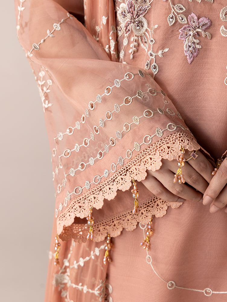 Aurapret-04 | 3 Piece Embroidered Organza Suit
