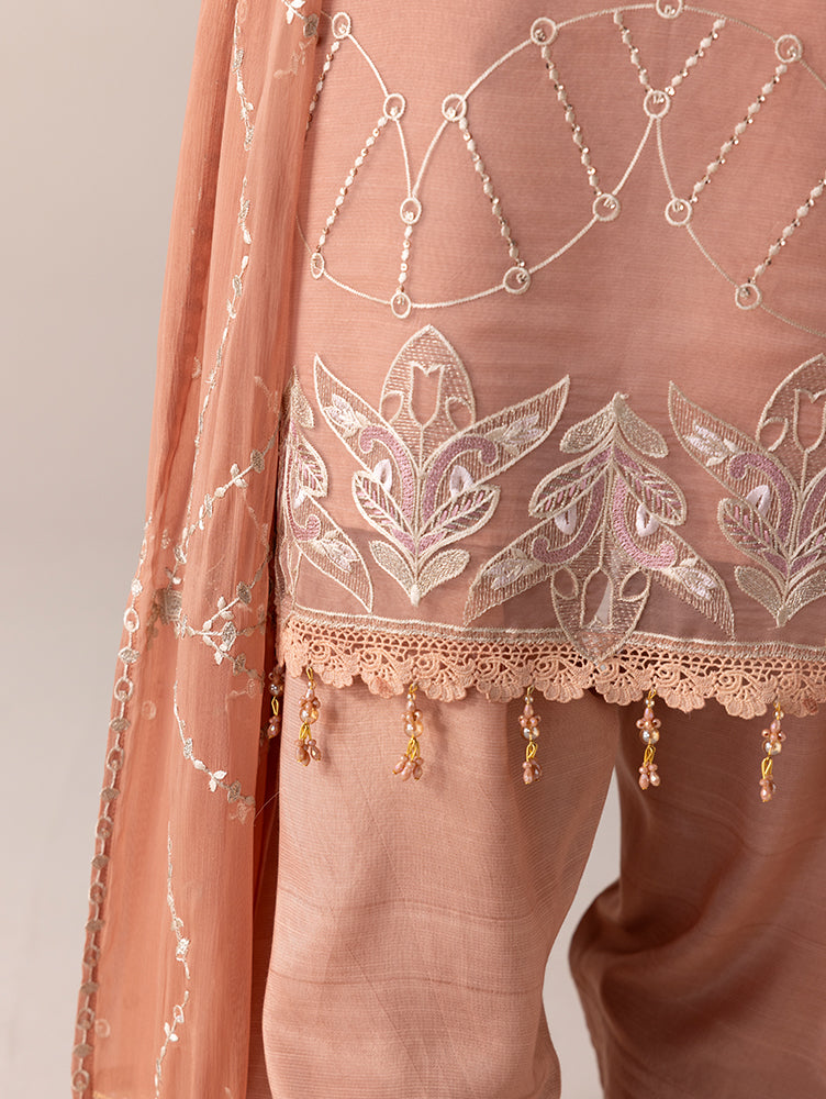 Aurapret-04 | 3 Piece Embroidered Organza Suit