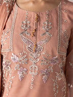 Aurapret-04 | 3 Piece Embroidered Organza Suit