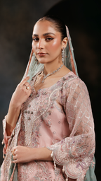 Zeenat Vol 22| ZN-01