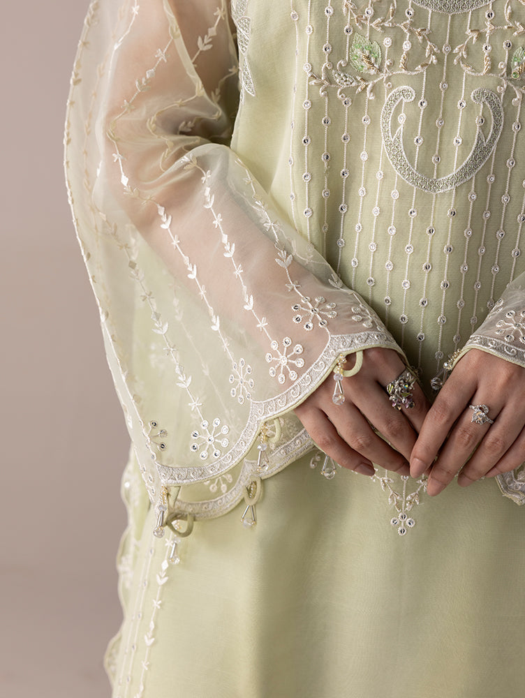 Aurapret-02 | 3 Piece Embroidered Organza Suit