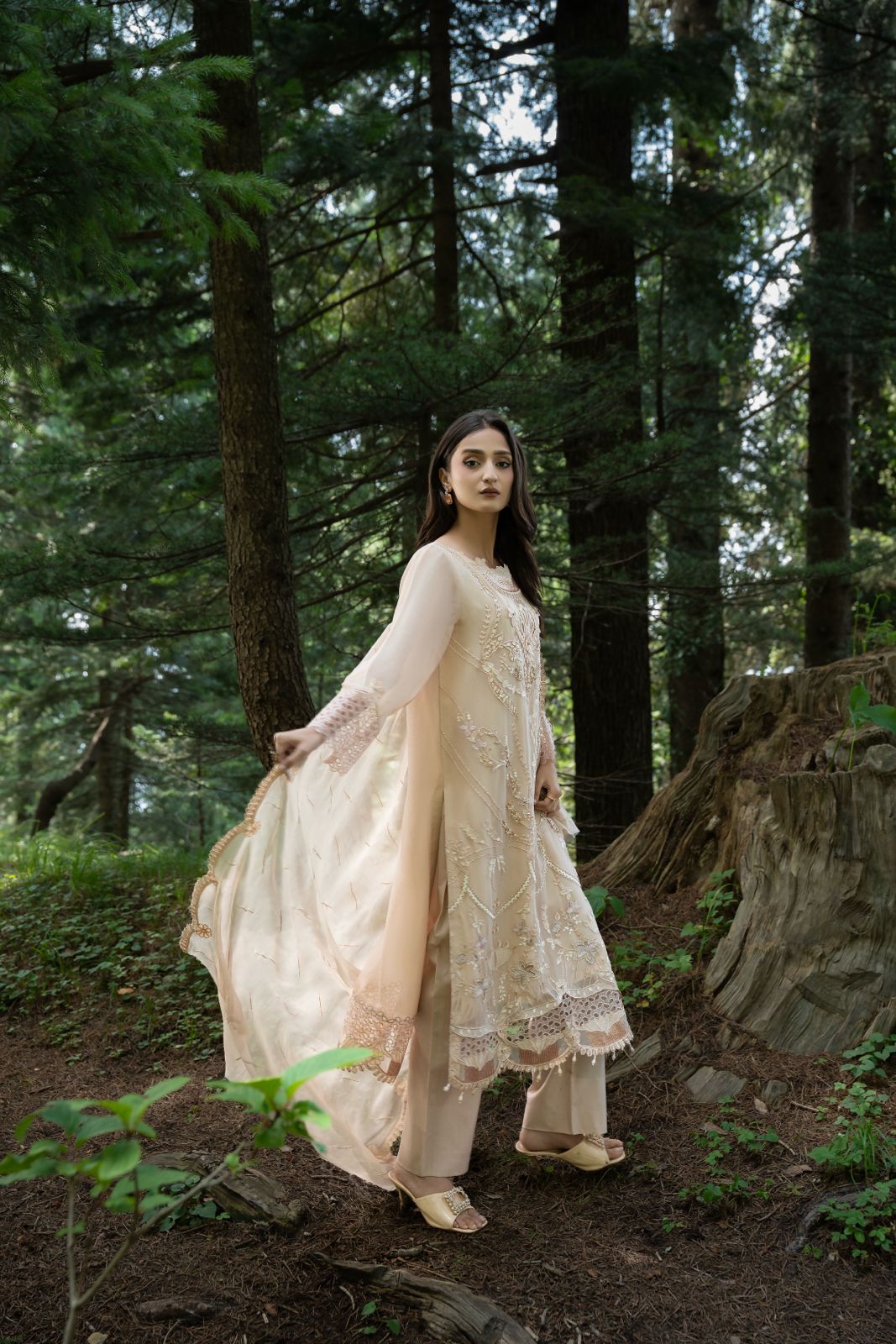 Aura by Zebtan – AR-2 | Embroidered Weightless Chiffon 3-Piece Suit