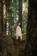 Aura by Zebtan – AR-2 | Embroidered Weightless Chiffon 3-Piece Suit