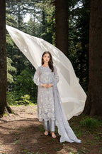 Aura by Zebtan – AR-3 | Embroidered Weightless Chiffon 3-Piece Suit