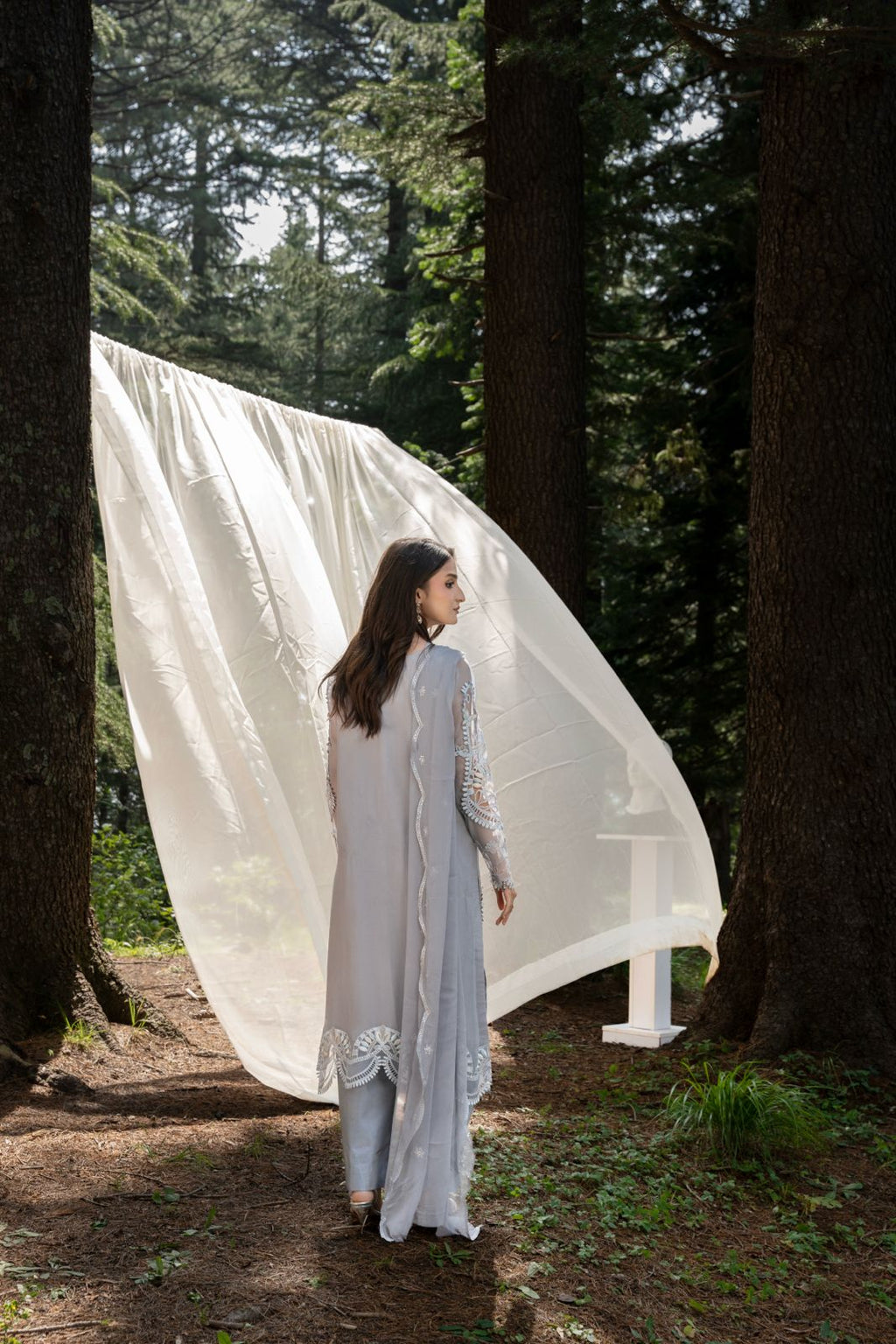 Aura by Zebtan – AR-3 | Embroidered Weightless Chiffon 3-Piece Suit