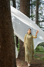 Aura by Zebtan – AR-6 | Embroidered Weightless Chiffon 3-Piece Suit