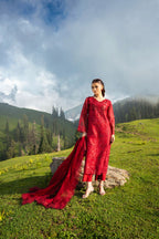 Dastaan by Zebtan DZ-06
