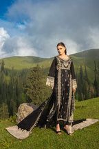 Dastaan by Zebtan DZ-08