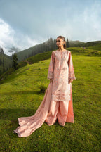 Dastaan by Zebtan DZ-04