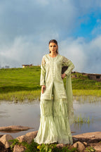 Dastaan by Zebtan DZ-05
