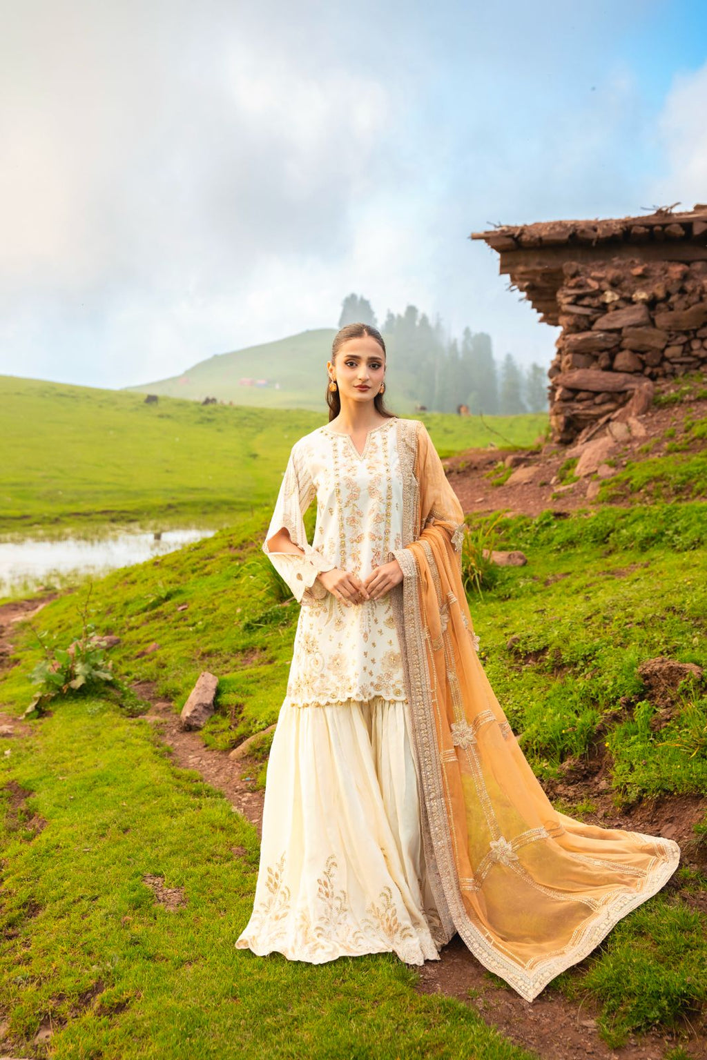 Dastaan by Zebtan DZ-03