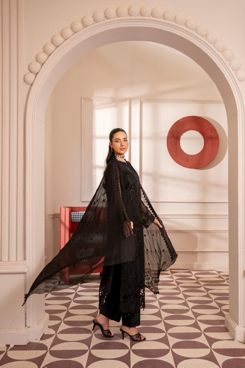 Anaya Noor by Zebtan Vol. 4 – AN 10 | Embroidered Weightless Chiffon 3-Piece Suit