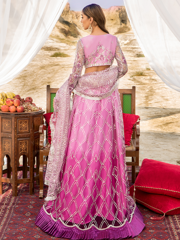 Zeenat Collection vol 12 ZN 08