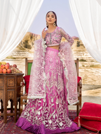 Zeenat Collection vol 12 ZN 08